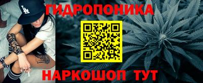 стаф Лесосибирск