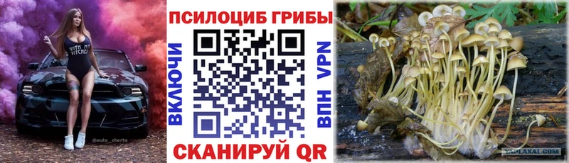 Псилоцибиновые грибы Psilocybine cubensis  KRAKEN зеркало  Петрозаводск 