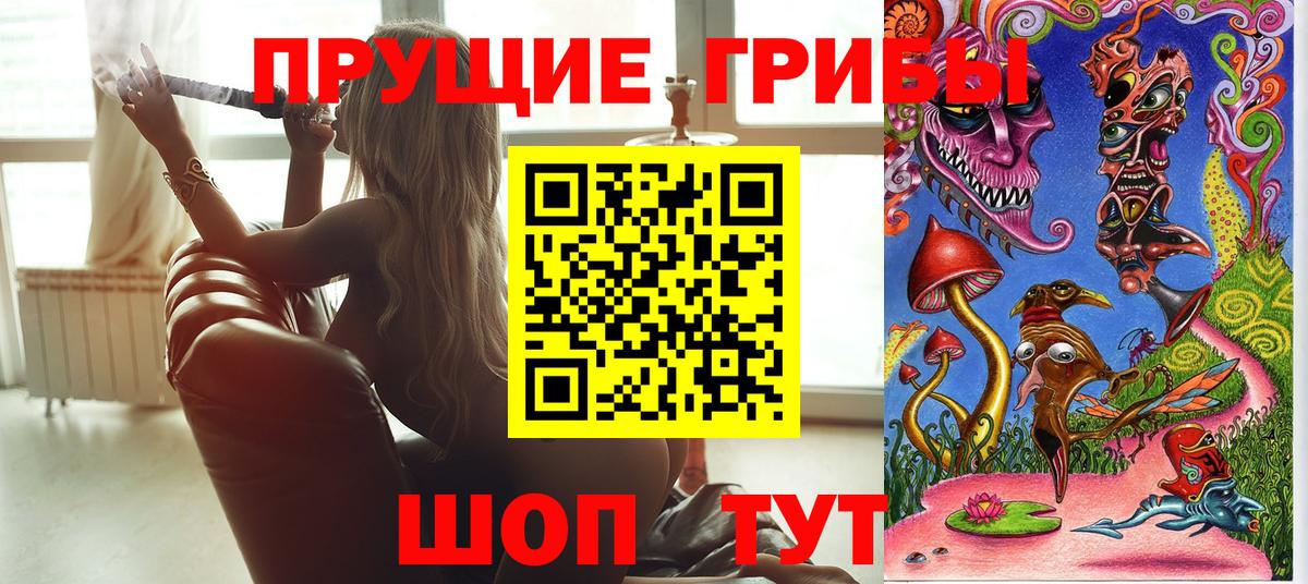 сколько стоит  Галлюциногенные грибы Psilocybine cubensis  Вход с VPN  Петрозаводск 