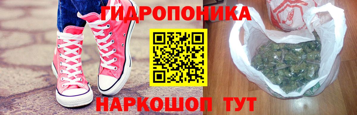 Бошки марихуана планчик  Вход с VPN  Петрозаводск  Канабис гибрид  Бошки марихуана семена  МАРИХУАНА индика 